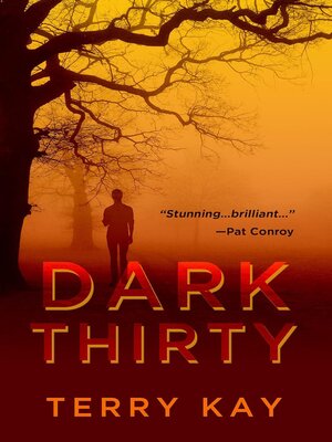 cover image of Dark Thirty